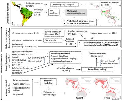 Spatio-Temporal Patterns of Climatic Niche Dynamics of an Invasive Plant Mikania micrantha Kunth and Its Potential Distribution Under Projected Climate Change